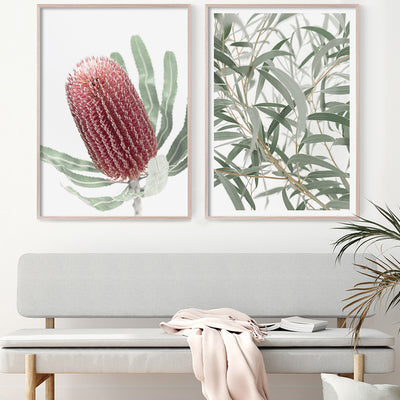    set-of-australian-botanical-wall-art-prints-eucalyptus-artwork-banksia-photography-prints