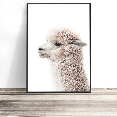 buy alpaca print llama wall art - shop photography poster artwork for home