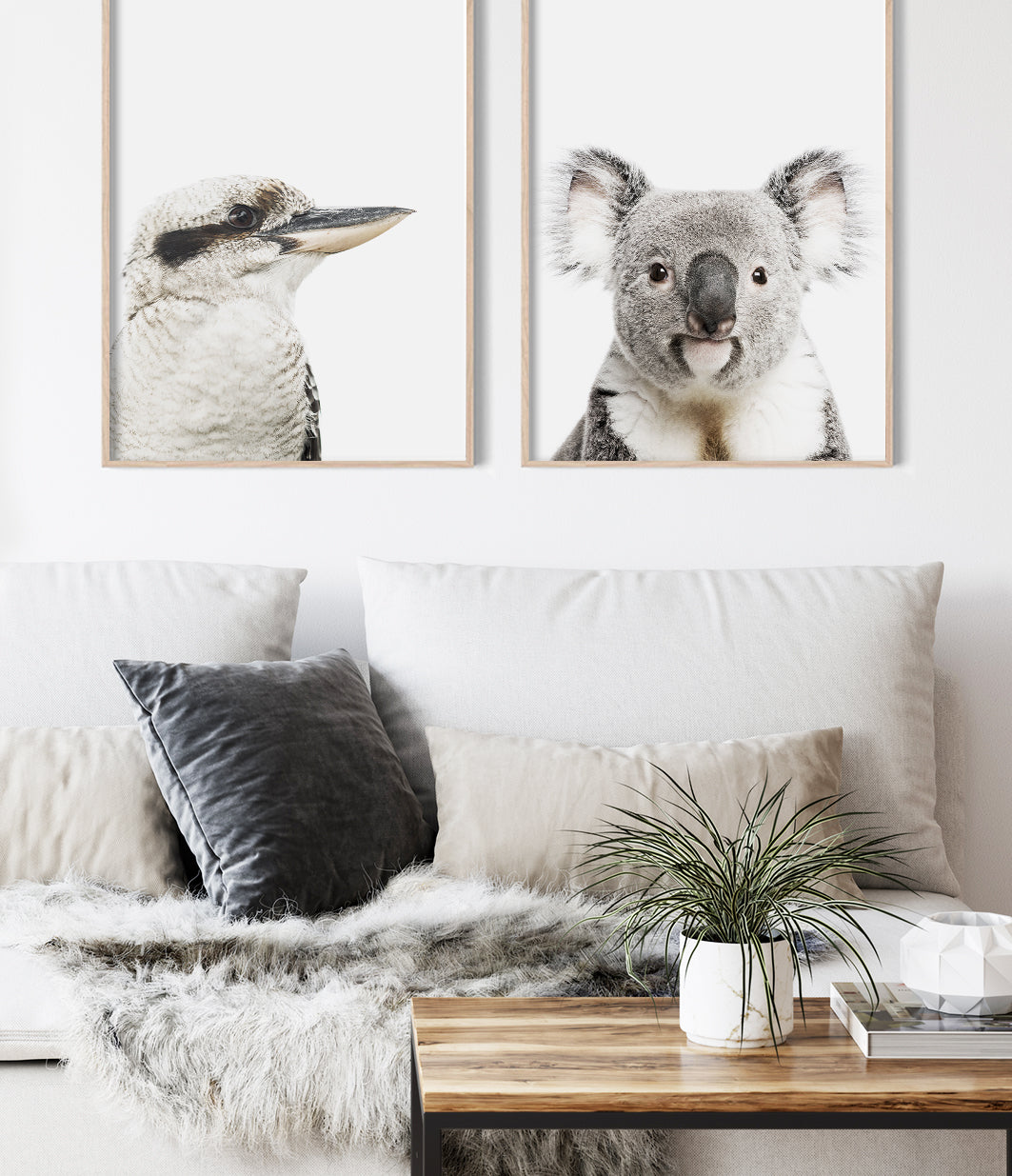 Set of Australian Animal Prints Koala and Kookaburra