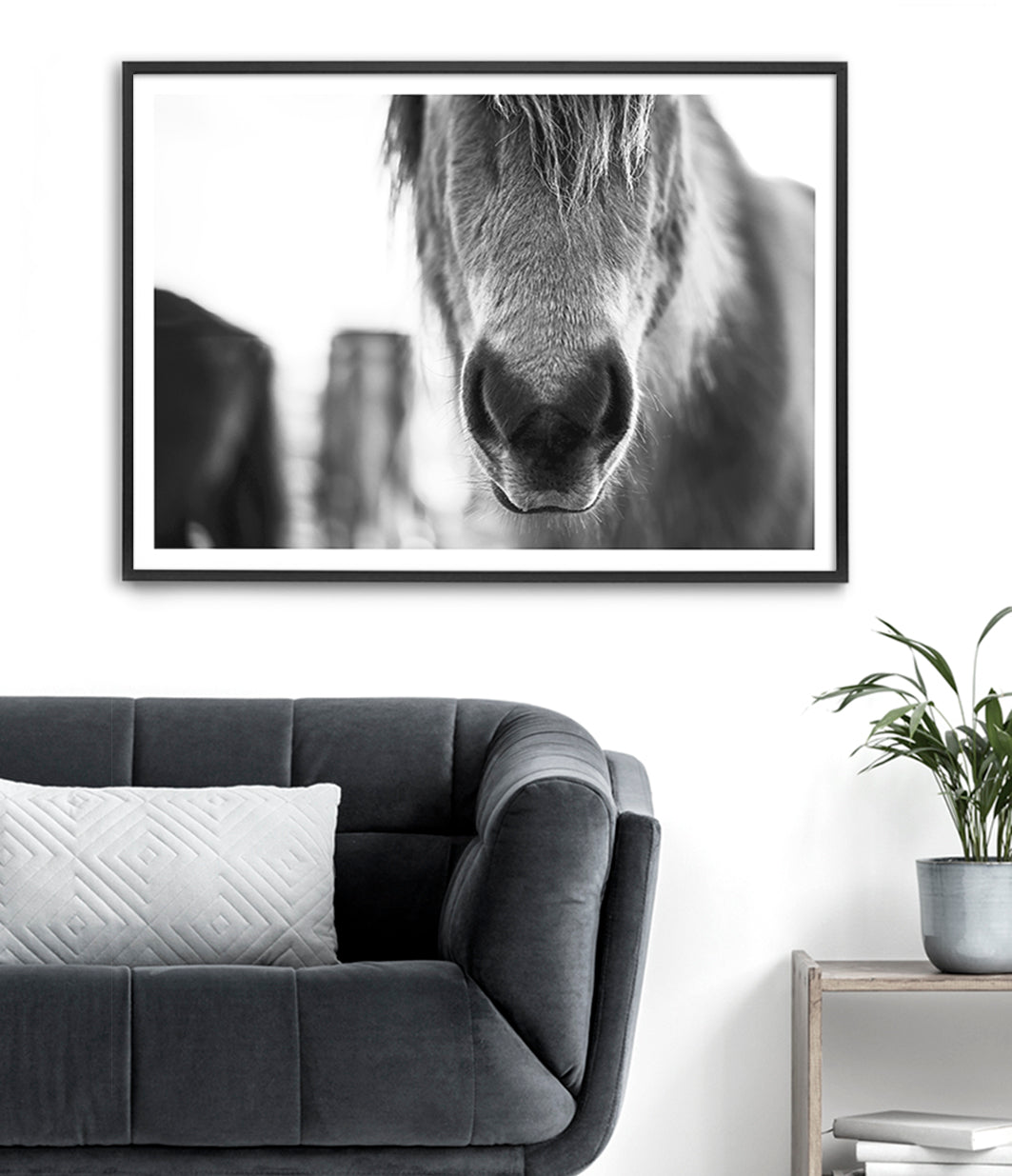 black and white horse art print australia