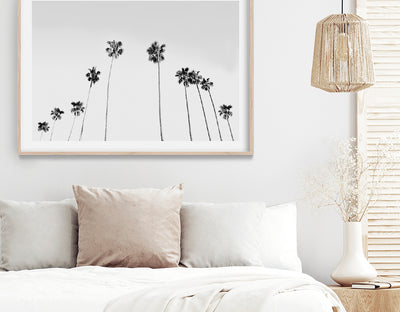Palm Tree Prints