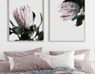 Botanical & Floral Prints