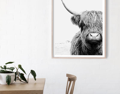 Highland Cow Prints