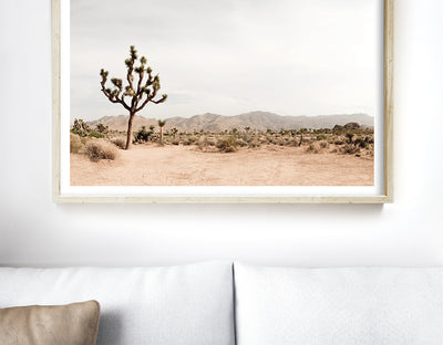 Desert/ Cactus Prints