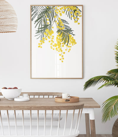 Wattle-Art-Print-Australian-Native-Flower-Wall-Art-