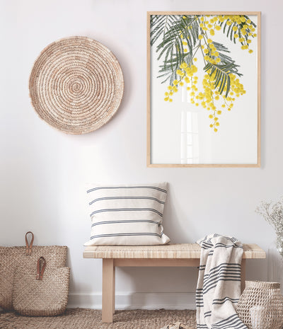 Wattle-Art-Print-Australian-Native-Flower-Wall-Art-