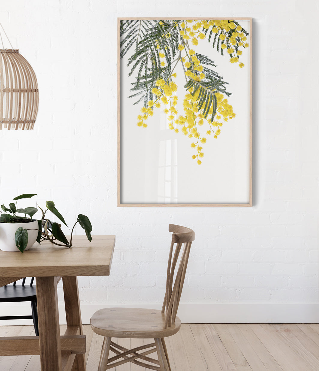 Wattle-Art-Print-Australian-Native-Flower-Wall-Art-