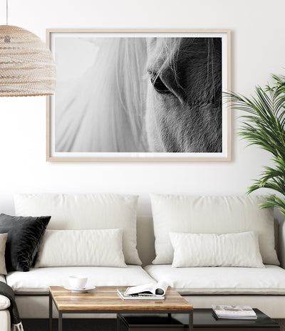 beautiful-horse-art-print-australia