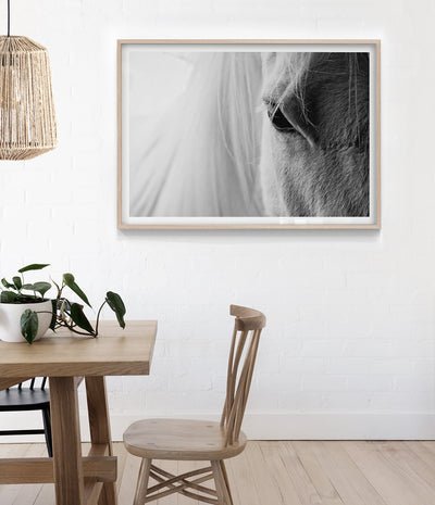 beautiful-horse-art-print-australia
