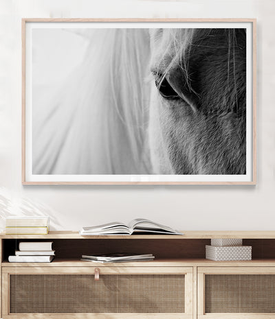 beautiful-horse-art-print-australia