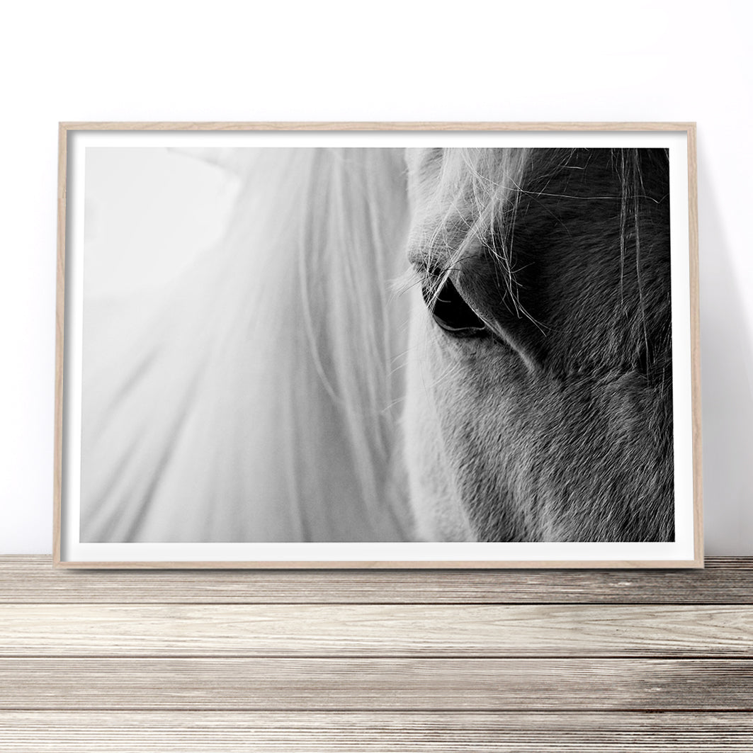 beautiful-horse-art-print-australia