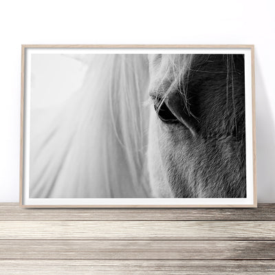 beautiful-horse-art-print-australia