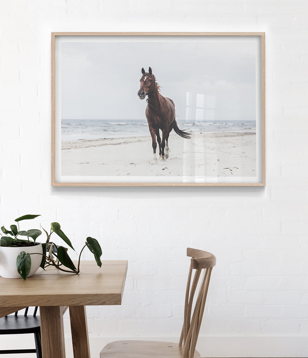 beautiful-horse-on-the-beach-art-print-australia-