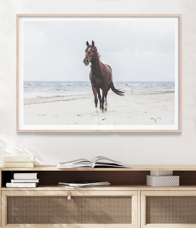 beautiful-horse-on-the-beach-art-print-australia-