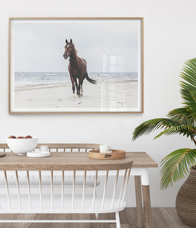 beautiful-horse-on-the-beach-art-print-australia-