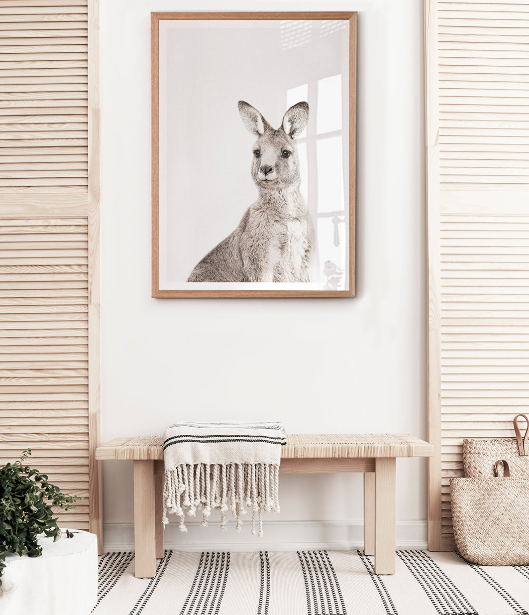 eastern-grey-kangaroo-print-australian-animal-art