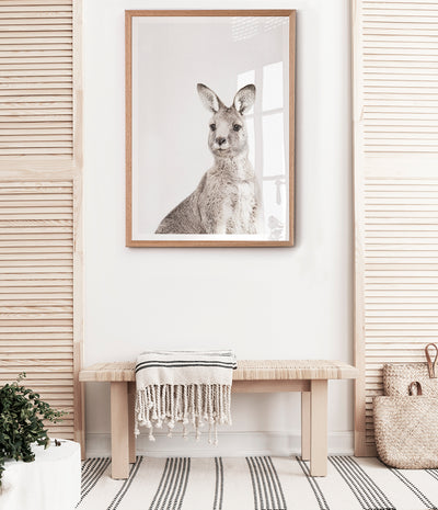 eastern-grey-kangaroo-print-australian-animal-art