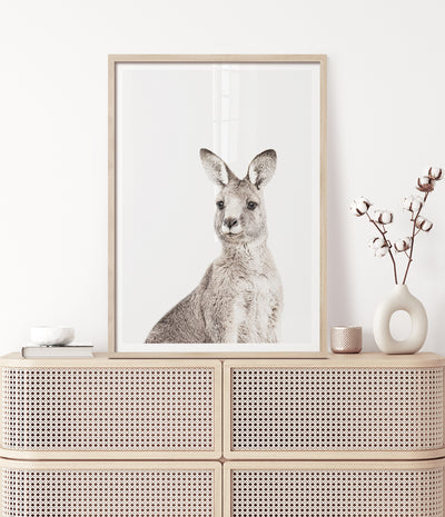 eastern-grey-kangaroo-print-australian-animal-art