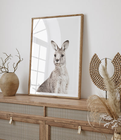 eastern-grey-kangaroo-print-australian-animal-art
