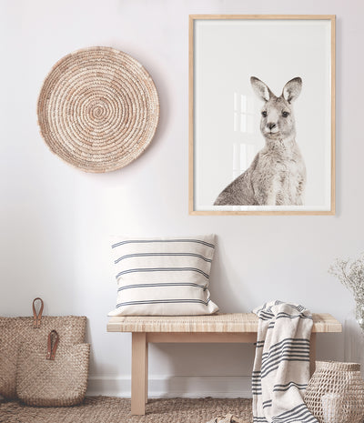 eastern-grey-kangaroo-print-australian-animal-art