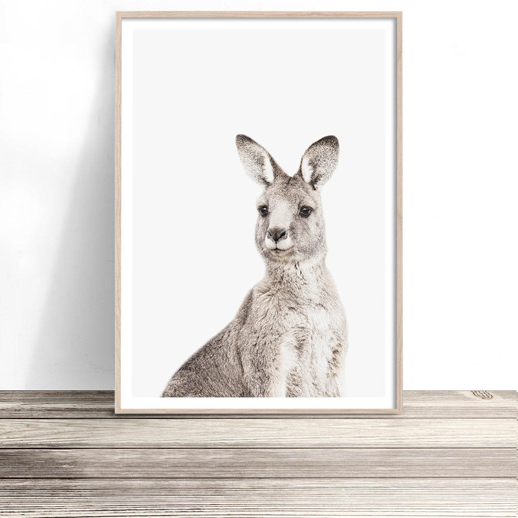 eastern-grey-kangaroo-print-australian-animal-art