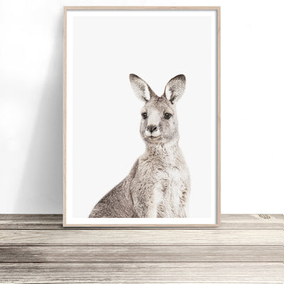 eastern-grey-kangaroo-print-australian-animal-art