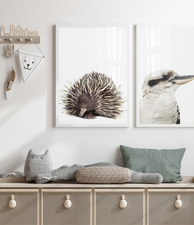 echidna-art-australian-animal-prints 