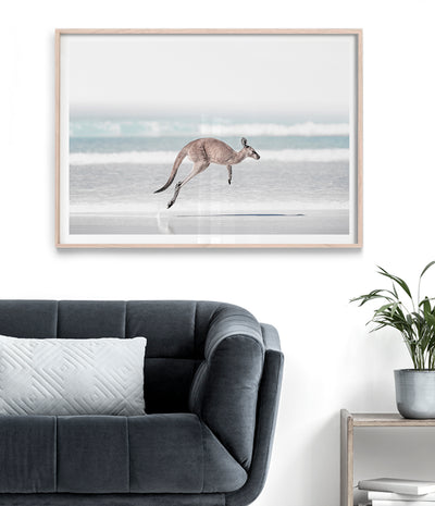 esperance-beach-kangaroo-art-print-australian-animal-photography-poster