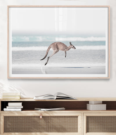esperance-beach-kangaroo-art-print-australian-animal-photography-poster