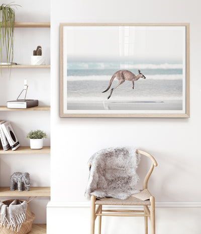 esperance-beach-kangaroo-art-print-australian-animal-photography-poster