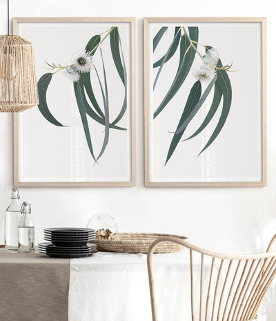 eucalyptus-australian-native-flower-print-australiana-wall-art