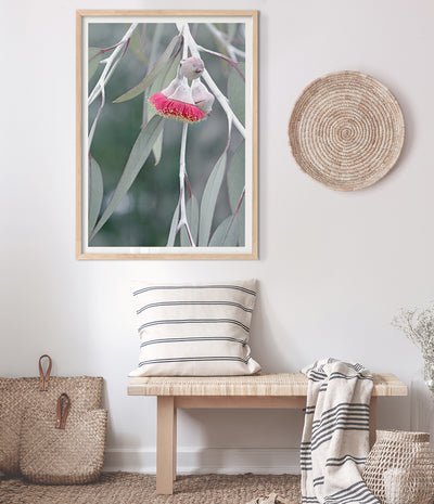 flowering-gum-tree-print-australian-native-flower-wall-art