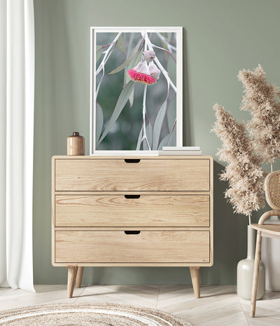 flowering-gum-tree-print-australian-native-flower-wall-art