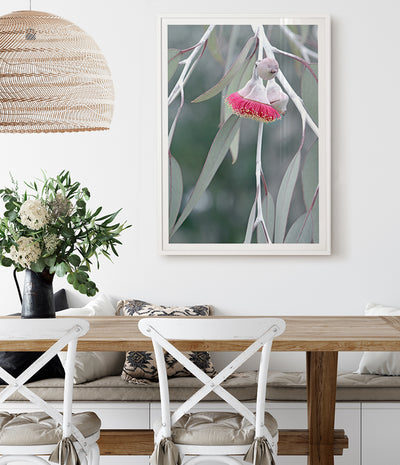 flowering-gum-tree-print-australian-native-flower-wall-art