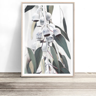 gumnut-eucalyptus-print-australiana-wall-art