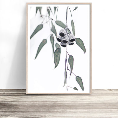 gumnut-eucalyptus-wall-art-australiana-print