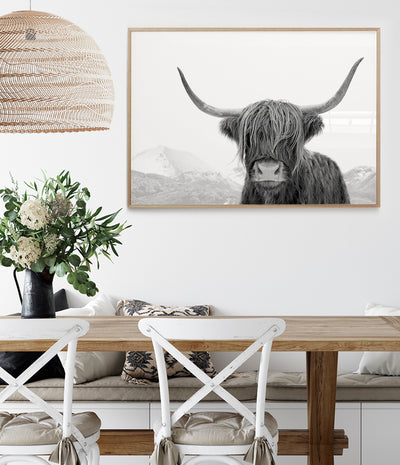 highland-cow-print-black-and-white-australia