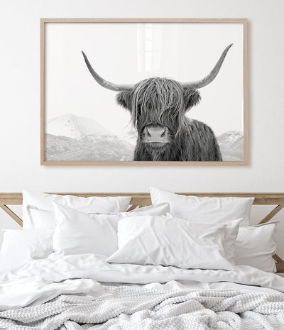 Highland Cow Print (Black and White)