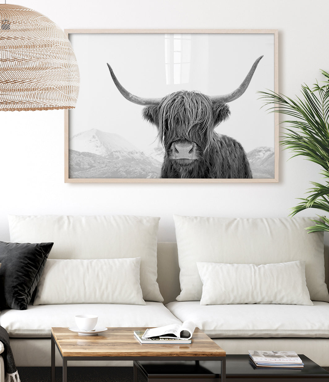 highland-cow-print-black-and-white-australia