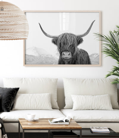 highland-cow-print-black-and-white-australia