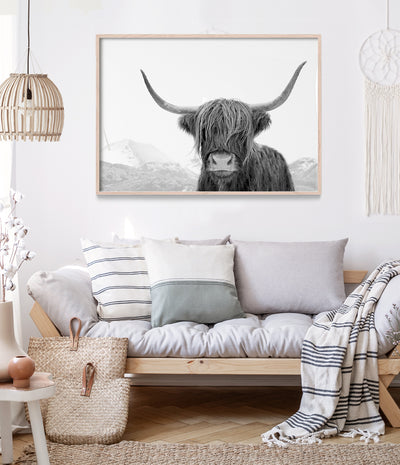 highland-cow-print-black-and-white-australia