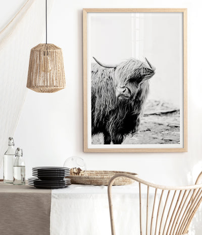 highland-cow-print-black-and-white-cattle-wall-art