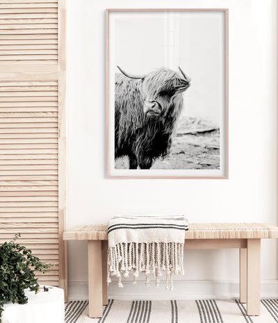 highland-cow-print-black-and-white-cattle-wall-art