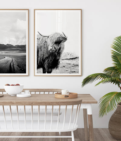 highland-cow-print-black-and-white-cattle-wall-art