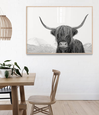 highland-cow-print-black-and-white-australia