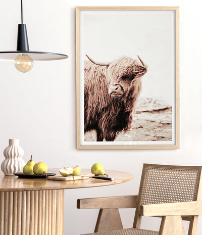 highland-cow-print-cattle-wall-art