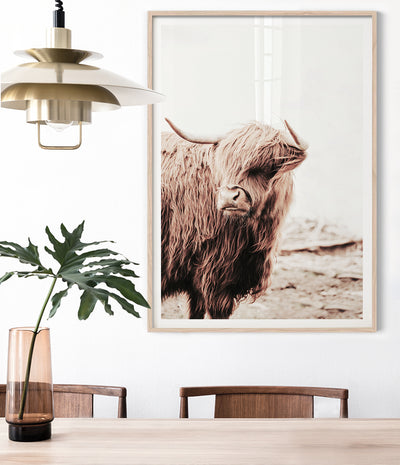 highland-cow-print-cattle-wall-art