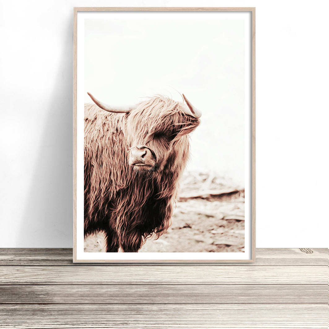 highland-cow-print-cattle-wall-art