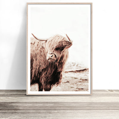 highland-cow-print-cattle-wall-art