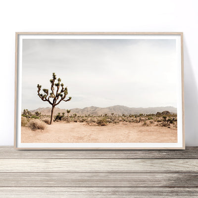 joshua-tree-desert-art-print